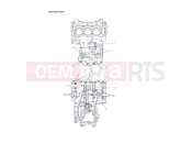 Triumph 2011 Tiger 1050 Crankcase Bolts