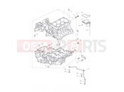 Triumph 2011 Tiger 1050 Crankcase Fixings