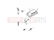 Triumph 2002 DAYTONA 955i 132513 > Engine Management System