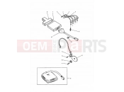 Triumph 1992 DAYTONA 750/1000 Ignition System