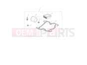 TRIUMPH STREET CUP Engine Service Kit