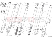 DUCATI 2022 Scrambler Nightshift FRONT FORK [MOD:SCR800NS]
