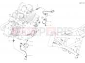 DUCATI Scrambler Desert Sled WIRING HARNESS (COIL)