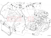 DUCATI XDiavel Nera COOLING CIRCUIT