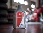 DUCATI 2022 Scrambler 1100 Dark Pro SHELL ADVANCE