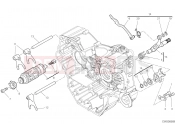 DUCATI 2023 Monster Plus SHIFT CAM - FORK