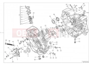 DUCATI Monster 821 HALF-CRANKCASES PAIR [MOD:M 821]