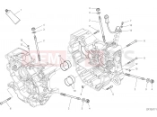 DUCATI 2021 Monster 821 HALF-CRANKCASES PAIR [MOD:M 821]