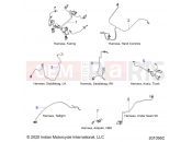 ELECTRICAL | ELECTRICAL, WIRE HARNESS 2 - N21TKDBB ALL OPTIONS (201095C) - Indian ROADMASTER DARK HORSE (R01) (N21TKDBB) 2021