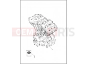 Harley-Davidson 2021 CVO/CUSTOM CVO ULTRA LIMITED  - FLHTKSE ENGINE ASSEMBLY - Milwaukee-Eight 117Â® engine