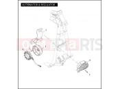 Harley-Davidson 2010 DYNA DYNA WIDE GLIDE  - FXDWG ALTERNATOR & REGULATOR