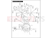 MAIN WIRING HARNESS - Harley-Davidson CVO FAT BOY - FLSTFSE2 2006