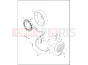 HARLEY-DAVIDSON SOFTAIL STANDARD  - FXSTI ALTERNATOR & REGULATOR