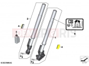 BMW Motorrad BMW 2020 G models G 310 R (0G21) Fork leg | Fork leg
