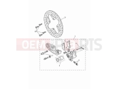 TRIUMPH Tiger 1200 Rally Pro Rear brake caliper & discs