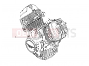 MOTOGUZZI V7 Stone 850 (EU, GSO) Engine-Completing part-Lever