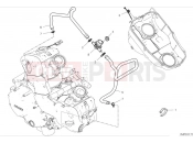 DUCATI 2024 Hypermotard 950 Secondary air system