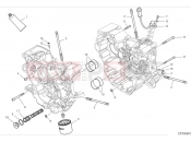 DUCATI 2024 Hypermotard 950 Crankcase (2)