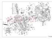 DUCATI 2024 Monster Plus Crankcase (1)