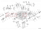 DUCATI 2024 Monster Plus Vertical cylinder head