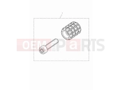 TRIUMPH Speed Twin 900 Machined gear peg