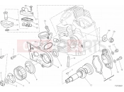 DUCATI 2019 Scrambler 1100 HORIZONTAL HEAD & TIMING SYSTEM