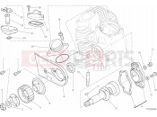 DUCATI Scrambler Desert Sled HEAD HORIZONTAL - DISTRIBUTION