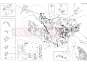 DUCATI Scrambler Desert Sled WIRING HARNESS