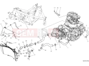 Cooling circuit - Ducati Desert X Rally 2025