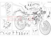 Vehicle electric system - Ducati Desert X Rally 2025