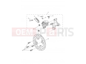 TRIUMPH Street Triple R Rear Brake & Disc