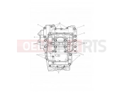 TRIUMPH Street Triple R Crankcase Bolts