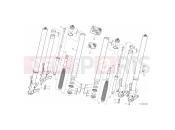 DUCATI Multistrada 950 Spoked Wheels FRONT FORK