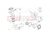 DUCATI Multistrada 950 Spoked Wheels CYLINDERS - PISTONS