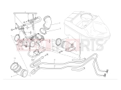 DUCATI 2008 Hypermotard 1100 S Intake manifolds