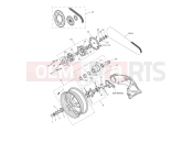 TRIUMPH SPEED TRIPLE S 735438 > Rear Wheel & Final Drive