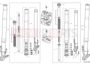 DUCATI Multistrada V4 Front fork
