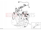 DUCATI Multistrada V4 Engine electric system
