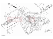 DUCATI 2019  Diavel 1260 SHIFT CAM & FORK