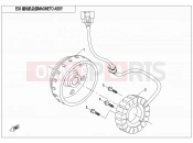 MAGNETO STATOR ASSY - E03 - CFMOTO ZFORCE 500 (CF500US) 2014