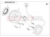 CFMOTO 2019 SSV ZFORCE 800 (CF800) MAGNETO ASSY.(HIGH POWER) - E03-B