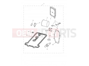 Triumph 2026 TRIDENT 660cc CN4040 > Engine Service Kits