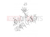 Triumph 2025 TRIDENT 660cc CN4040 > Engine Covers