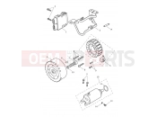 Triumph 2025 TRIDENT 660cc CN4040 > Alternator & Starter Motor