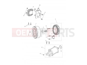 Triumph 2026 STREET TRIPLE 765 R Starter & Alternator