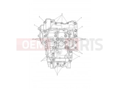 TRIUMPH TIGER 900 GT Pro - BP5373 > Crankcase Bolts
