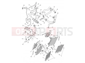 TRIUMPH TIGER 900 GT Pro - BP5373 > Cooling System