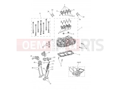 TRIUMPH Thruxton RS Cylinder Head & Valves