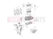 Cylinder Head & Valves - Triumph SCRAMBLER 900 - Liquid Cooled - > CM9963 2025