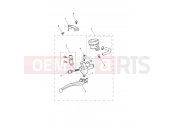Front Master Cylinder Assy - Triumph SCRAMBLER 900 - Liquid Cooled - > CM9963 2025
